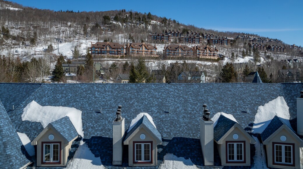 Cabriolet Ski Lift featuring snow