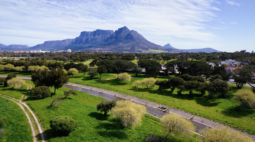 Aerial drone view of the eastern side of Table Mountain during the day, as viewed from Pinelands.