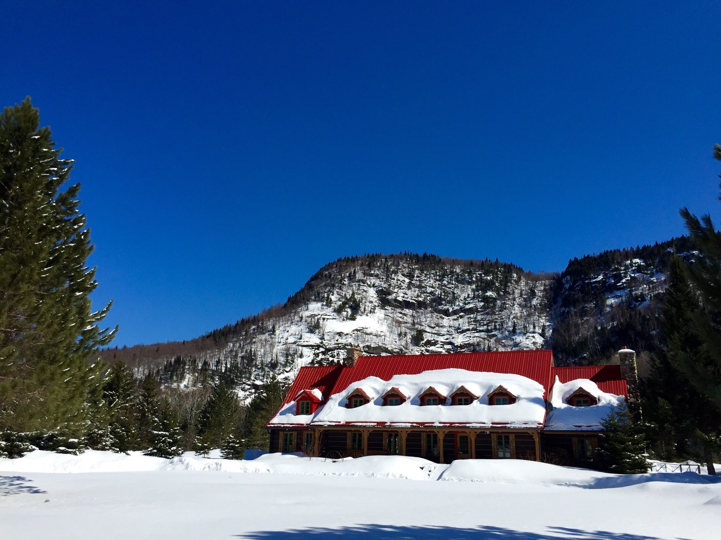A snow-covered lodge with a red roof, surrounded by snow-laden trees and a mountain backdrop.