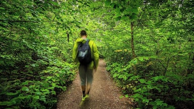 Another great national park in Quebec! Go for camping there, you have good chances to share your breakfast with squirrels or deers! :)
#LifeAtExpedia
