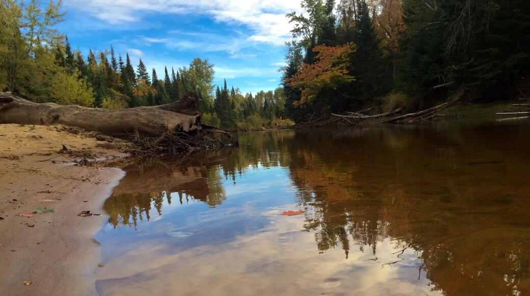 Fall colours floating down stream.