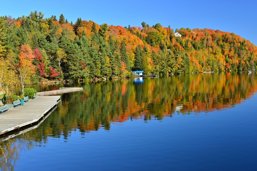 The Laurentian Forest in the fall, Sainte Marguerite du Lac Masson, Quebec, Canada
