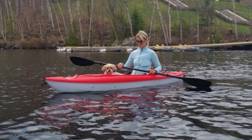 K9 adventures in the kayak