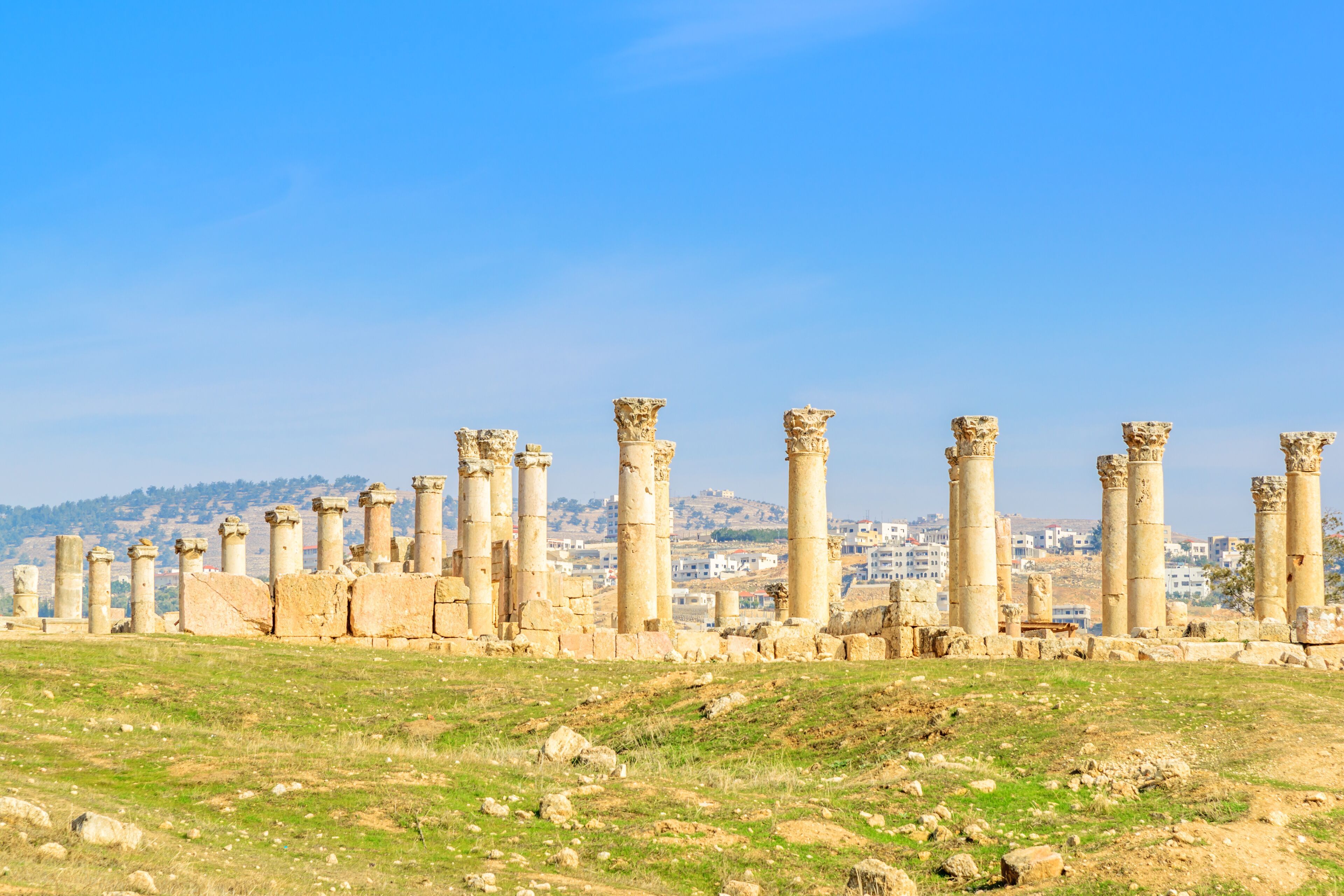Landscape grass prospects the columns of Gerasa, Jordan