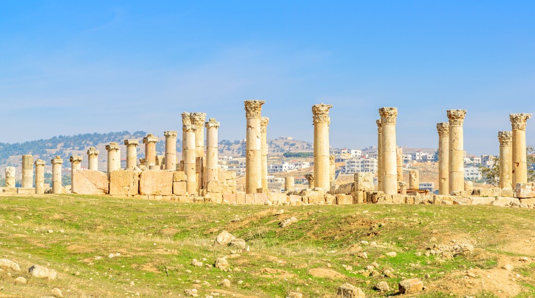 Landscape grass prospects the columns of Gerasa, Jordan