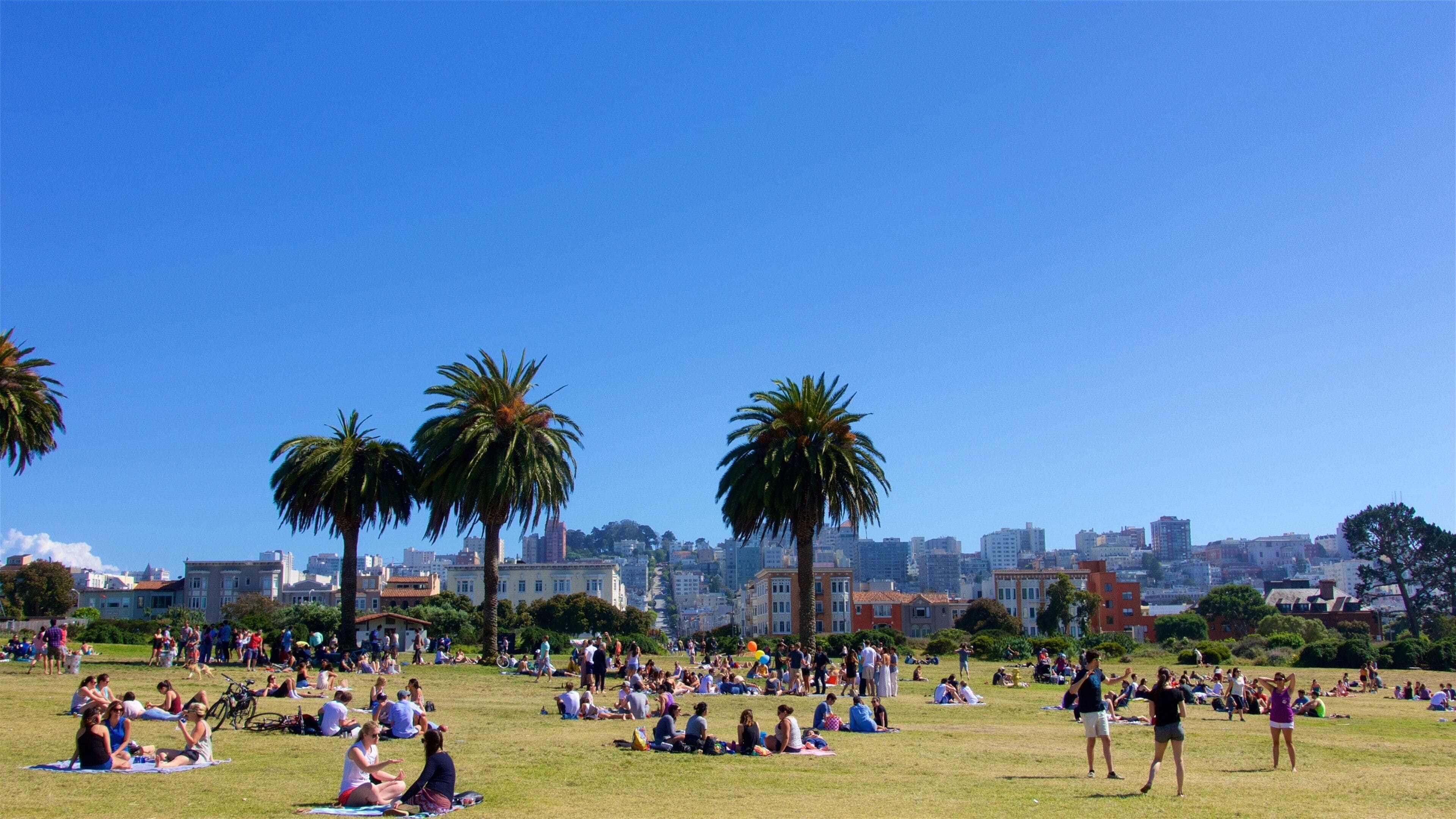 Crissy Field featuring picnicing and a park as well as a large group of people
