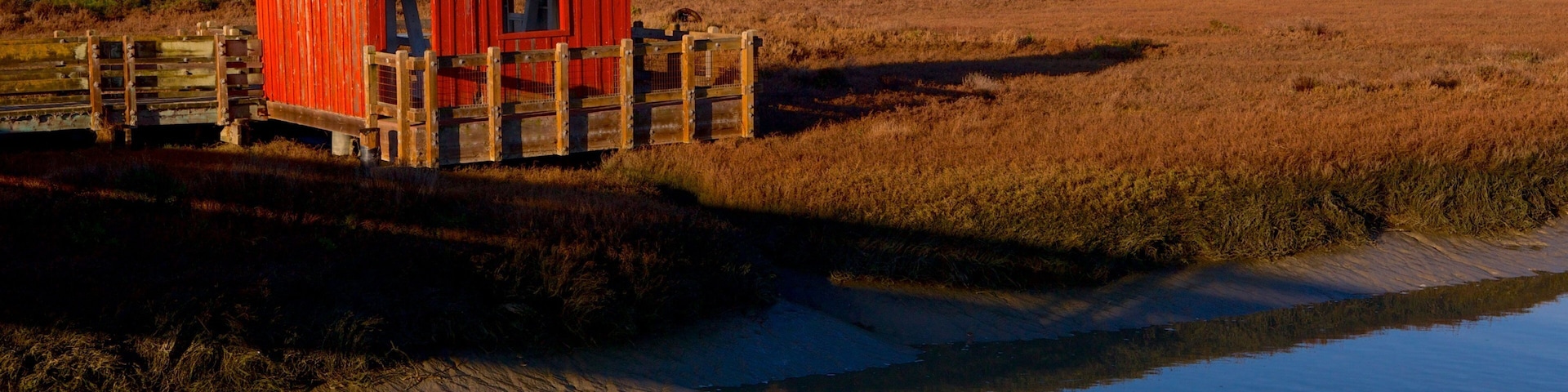 Don Edwards San Francisco Bay National Wildlife Refuge featuring landscape views, tranquil scenes and a river or creek