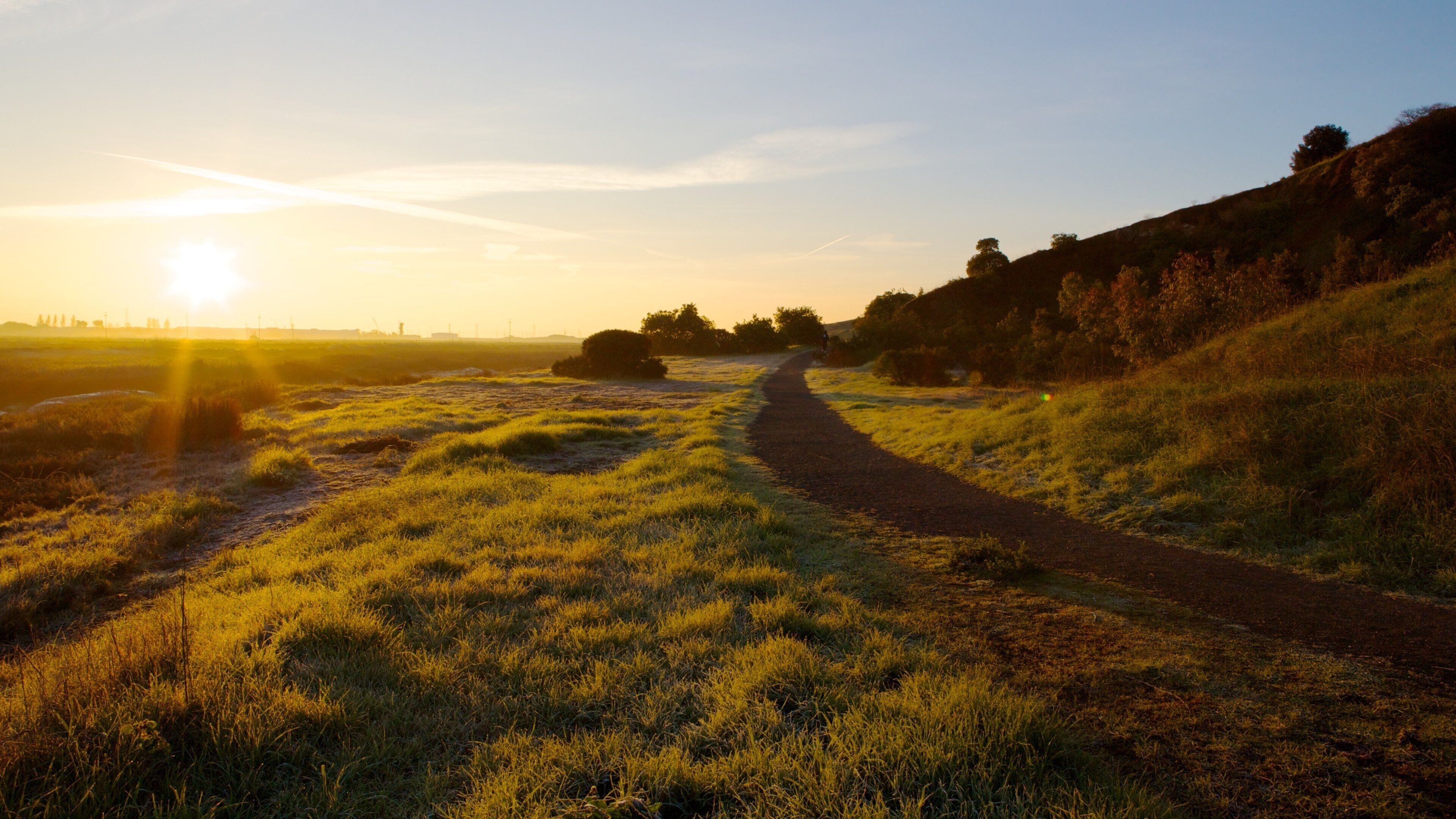 Don Edwards San Francisco Bay National Wildlife Refuge som omfatter udsigt over landskaber, fredfyldte omgivelser og en strand