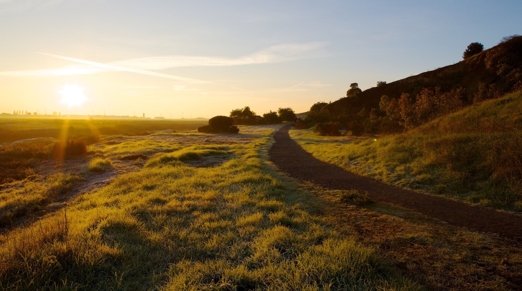 Don Edwards San Francisco Bay National Wildlife Refuge som omfatter udsigt over landskaber, fredfyldte omgivelser og en strand