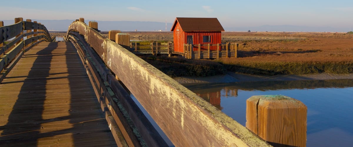Don Edwards San Francisco Bay National Wildlife Refuge เนื้อเรื่องที่ สะพาน และ แม่น้ำหรือลำธาร