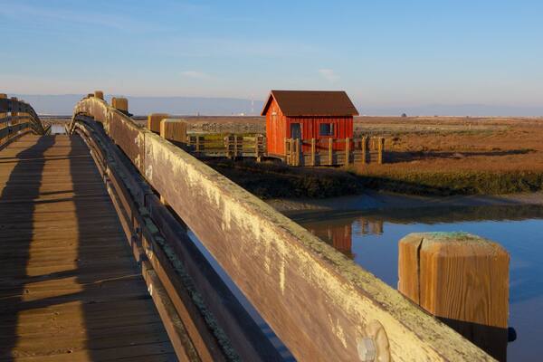Don Edwards San Francisco Bay National Wildlife Refuge mit einem BrĂŒcke und Fluss oder Bach