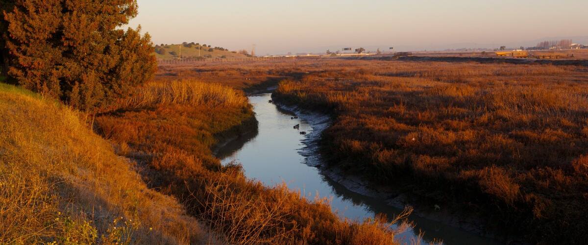 San Jose - Silicon Valley featuring a river or creek, landscape views and tranquil scenes