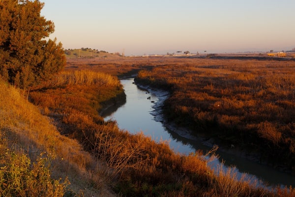 San JosĂ© â Silicon Valley welches beinhaltet Landschaften, ruhige Szenerie und Sonnenuntergang
