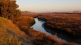 Un río serpentea por un paisaje pantanoso con árboles y una colina distante.