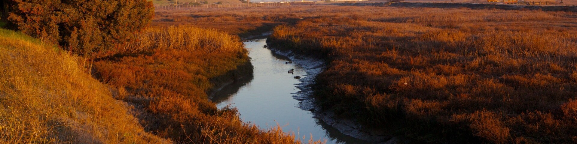 San José - Silicon Valley que incluye un río o arroyo, un atardecer y vista panorámica