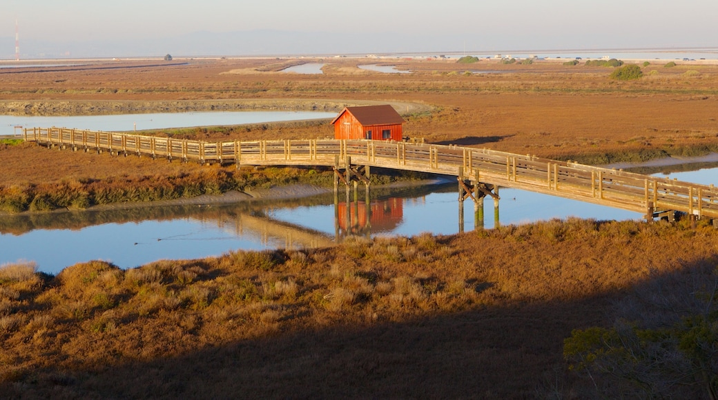 Don Edwards San Francisco Bay National Wildlife Refuge og byder på udsigt over landskaber, fredfyldte omgivelser og en bro