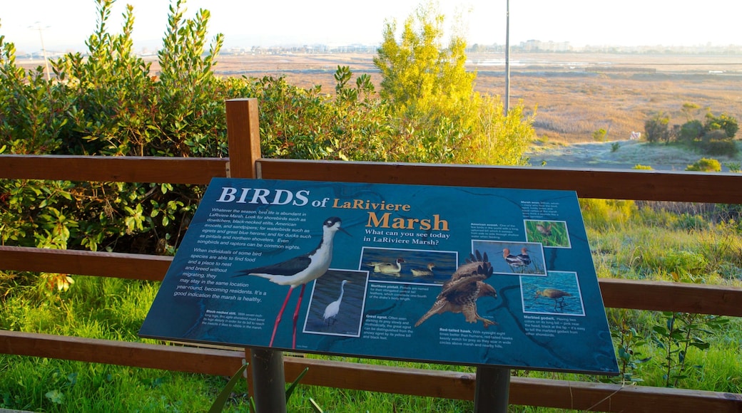 Don Edwards San Francisco Bay National Wildlife Refuge og byder på fredfyldte omgivelser, udsigt over landskaber og skiltning