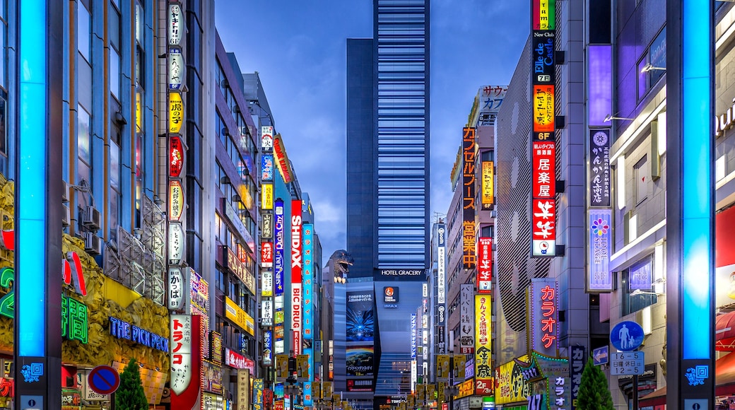 Kabukicho