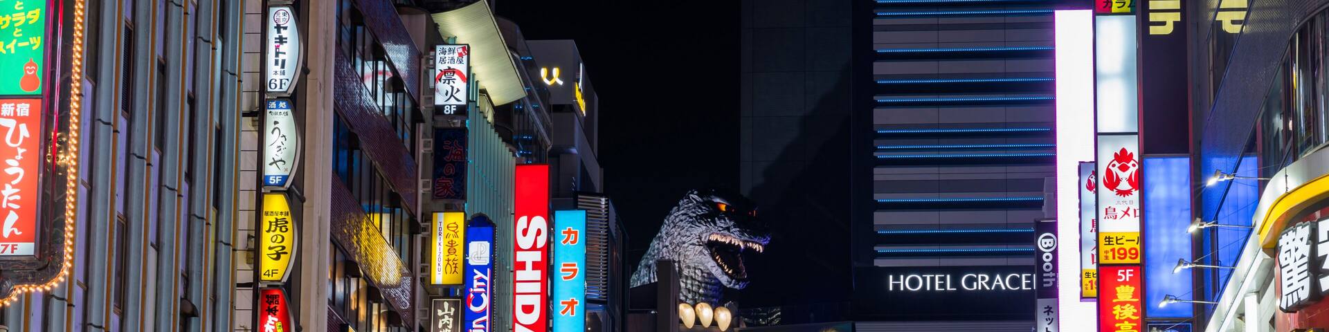 新宿歌舞伎町 ネオンが輝く「ゴジラロード」の夜景