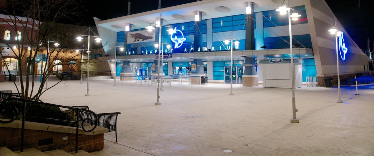 Newport Aquarium featuring night scenes and marine life