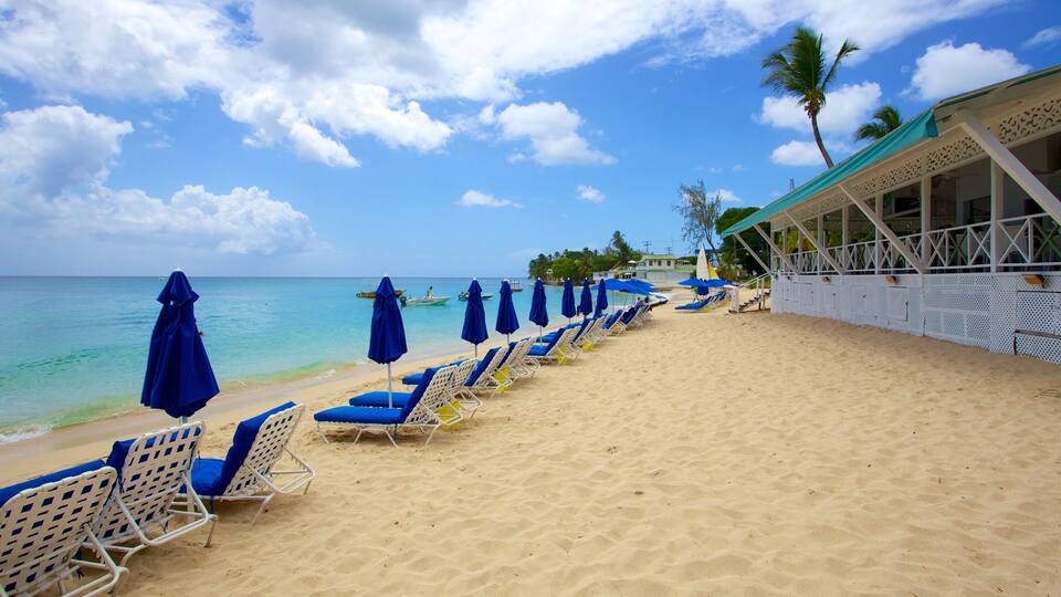 A beach with rows of blue and white sun loungers and umbrellas, a clear blue sky, and the ocean.