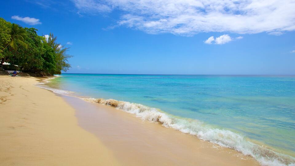 A beach with clear turquoise water, sandy shore, and lush green vegetation.