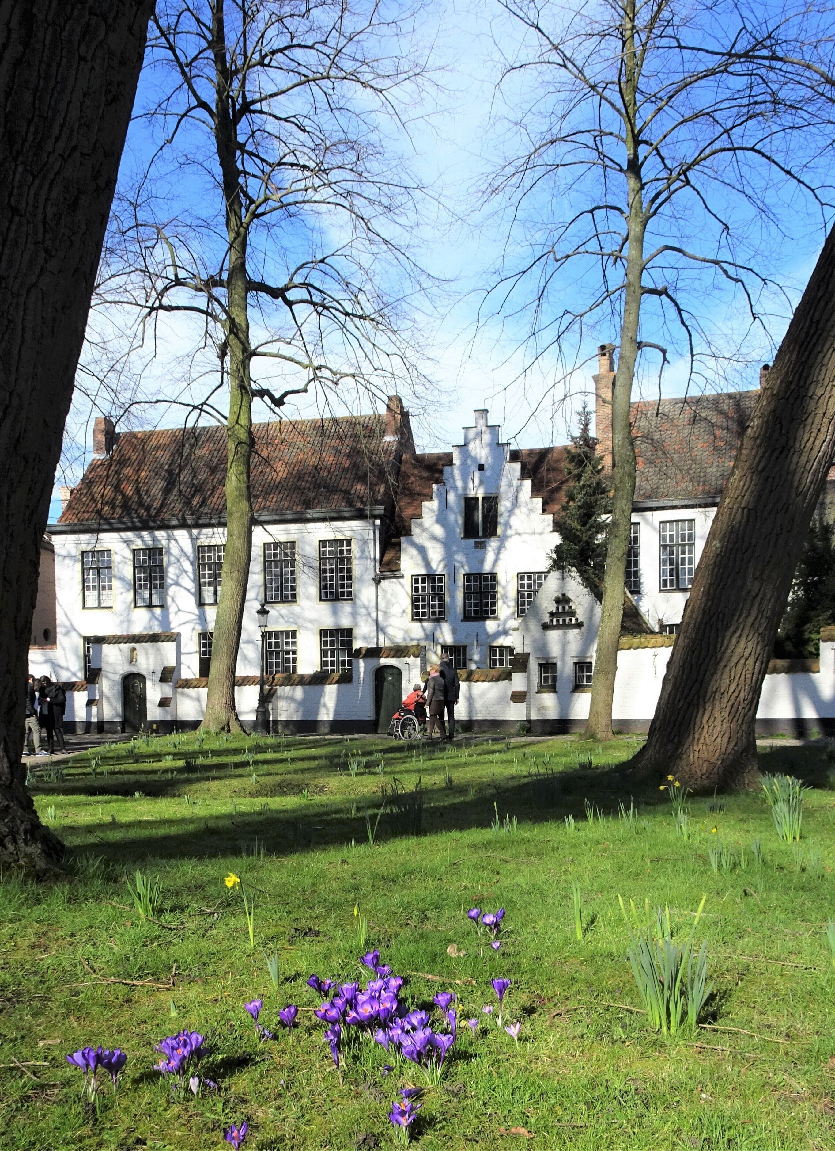 The 'Princely Beguinage Ten Wijngaarde' with its white-coloured house fronts and tranquil convent garden was founded in 1245. This little piece of world heritage was once the home of the beguines, emancipated lay-women who nevertheless led a pious and celibate life. Today the beguinage is mainly inhabited by nuns of the Order of St. Benedict.  #Bruges  #Culture  #History