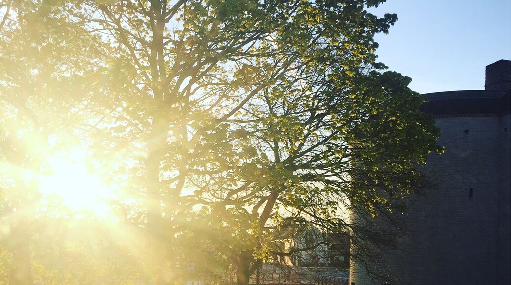 The Bunker Hill Monument was erected to commemorate the Battle of Bunker Hill (which actually took place on Breed's Hill), the first major conflict between British and Patriot forces in the American Revolutionary War, fought there June 17, 1775.
The 221-foot granite obelisk (compared to 554 feet of the Washington Monument) was erected between 1827 and 1843 in Charlestown, Massachusetts.