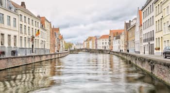 Visiting Bruges in Belgium for the first time and I'm like a child in a candy store. Though, the chocolatiers will give you a run for your money. Belgian Chocolate is divine. Grab a map, grab your camera, phone or friend and take a walk. Following the walks on the map will take you to Historical Windmills and along canals where the boats take tourists on tours. My advice. Walk! A cafe or two might be in order also. Enjoy! #belgium #history #water