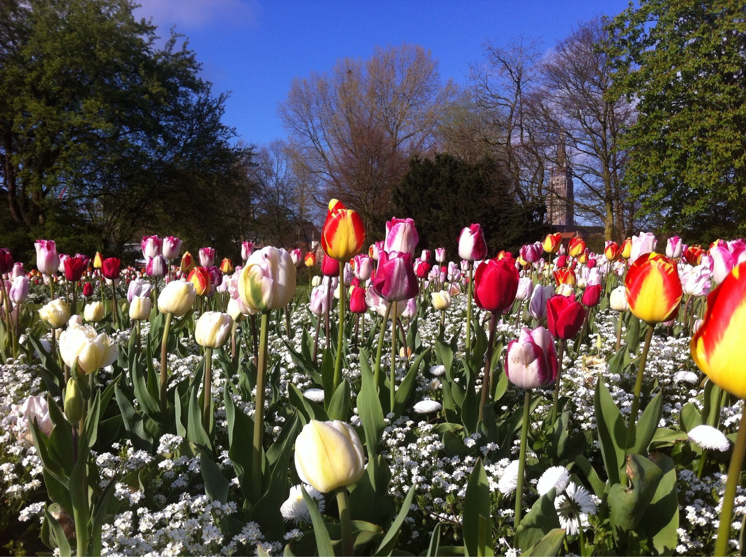 Let the spring begin! 