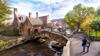 Bruges which includes a river or creek, a house and heritage architecture