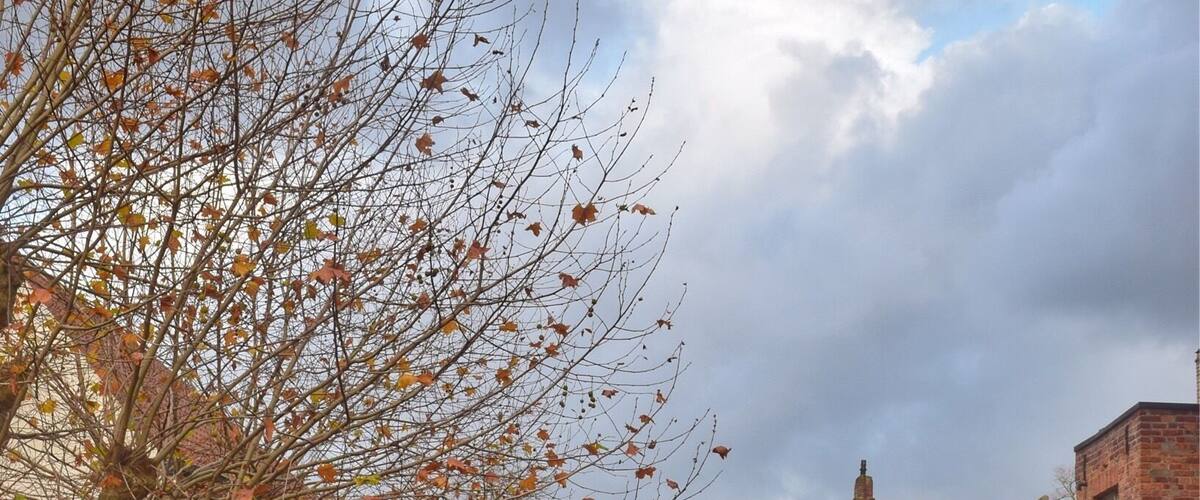 Lovely little postcard view from the bridge and a popular photo spot it seems.