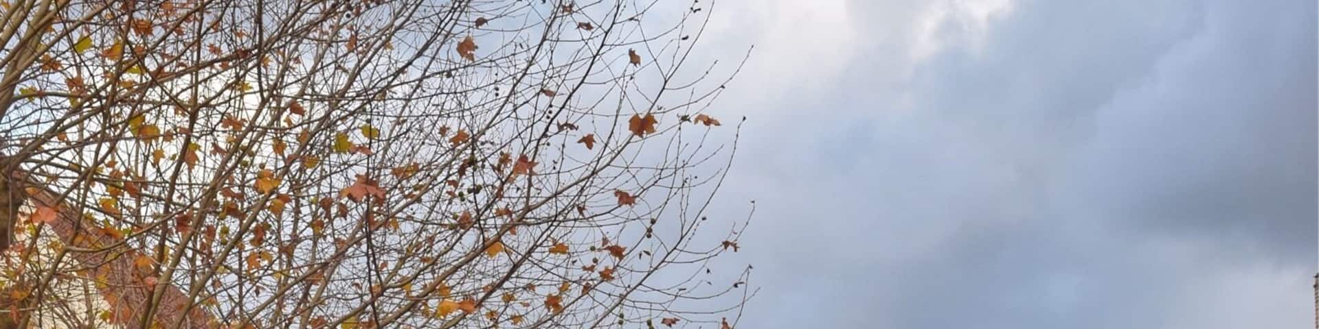Lovely little postcard view from the bridge and a popular photo spot it seems.