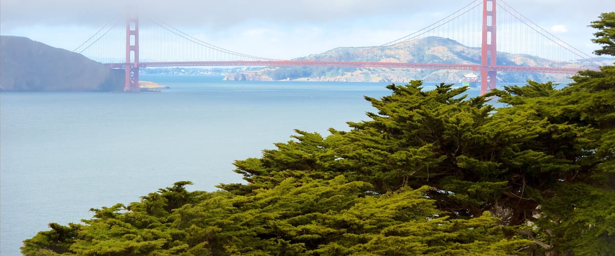 Land\'s End showing general coastal views and a suspension bridge or treetop walkway