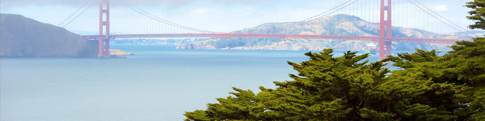 Land\'s End showing general coastal views and a suspension bridge or treetop walkway