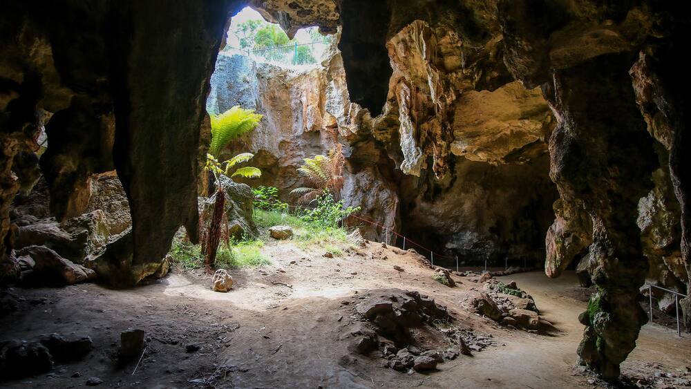Sinkhole in the Stick-Tomato Cave in the Naracoorte Caves National Park in South Australia