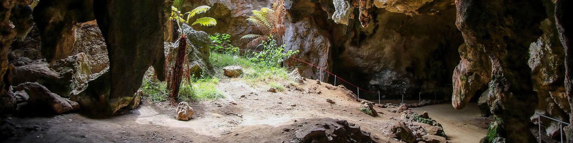 Sinkhole in the Stick-Tomato Cave in the Naracoorte Caves National Park in South Australia