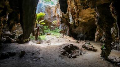Sinkhole in the Stick-Tomato Cave in the Naracoorte Caves National Park in South Australia