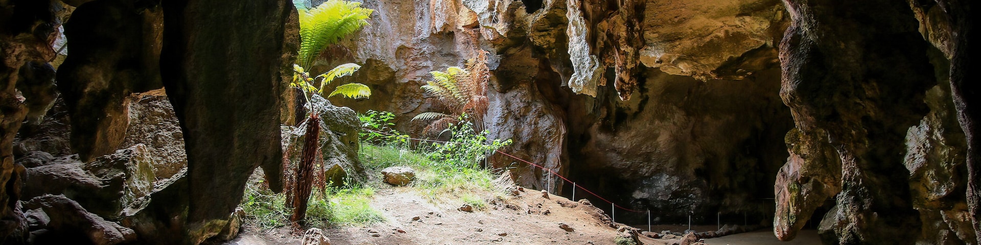 Sinkhole in the Stick-Tomato Cave in the Naracoorte Caves National Park in South Australia