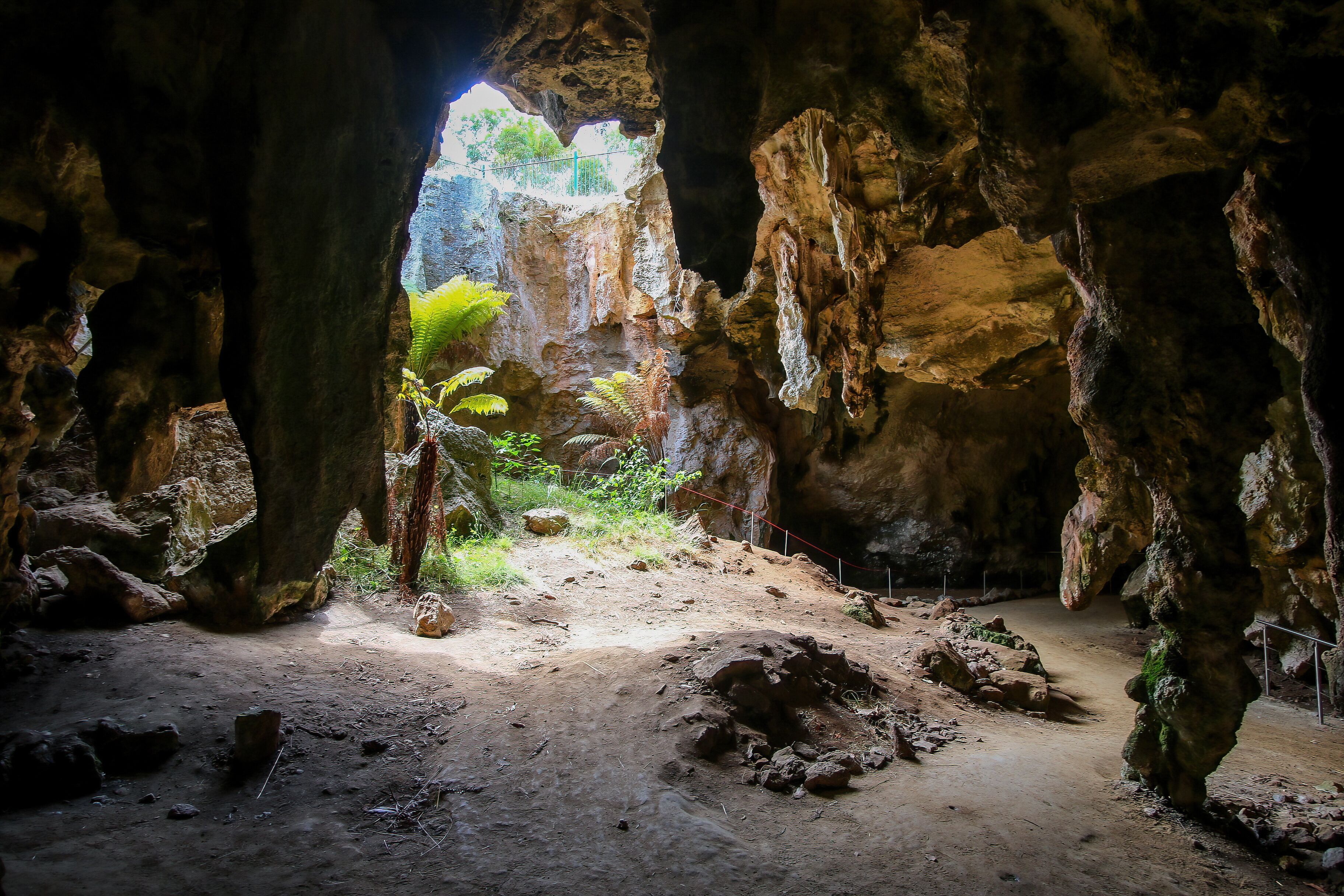 A cave with rocky formations and a dirt path leading to a brighter area with vegetation.