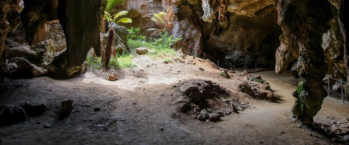A cave with rocky formations and a dirt path leading to a brighter area with vegetation.