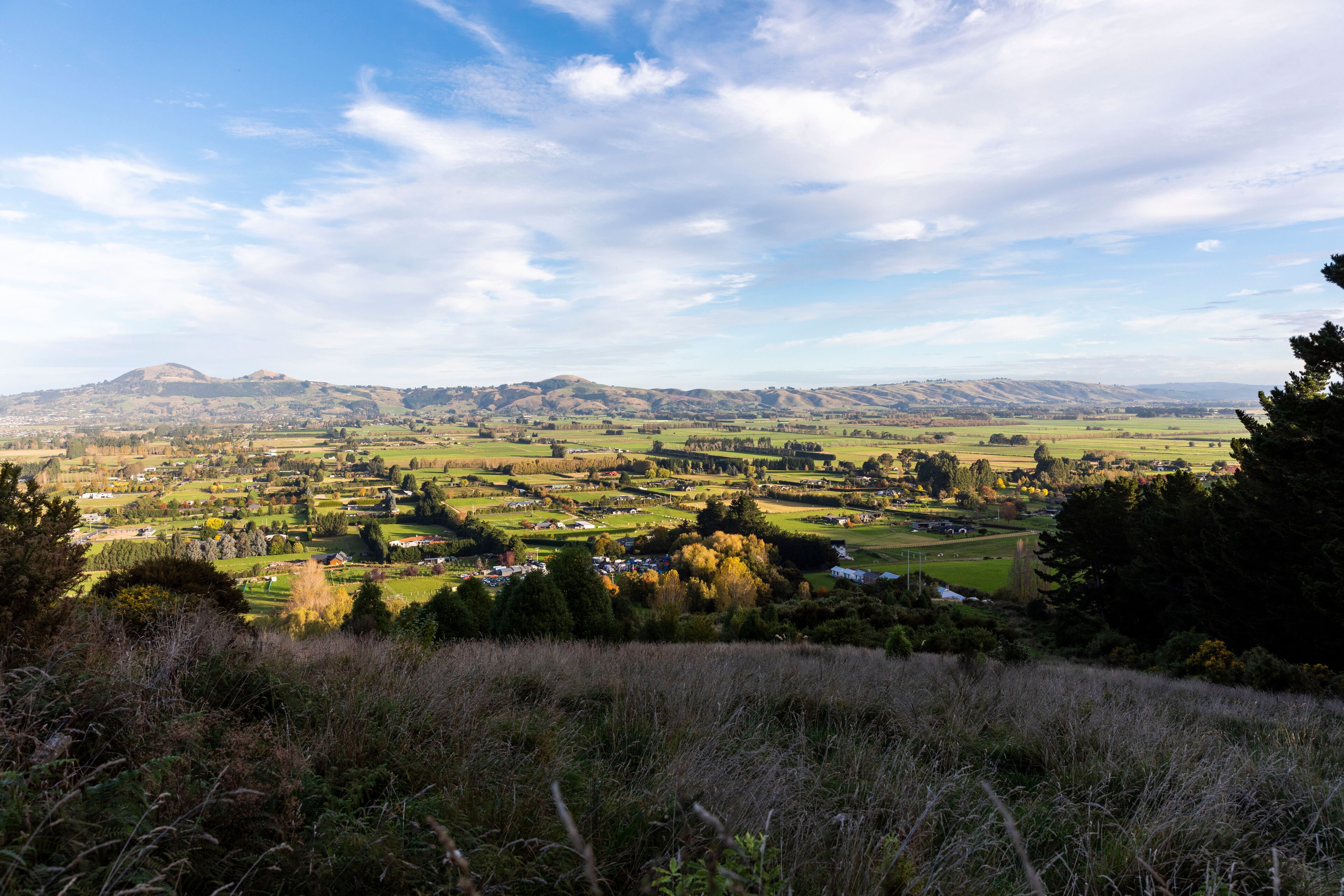 Mosgiel
