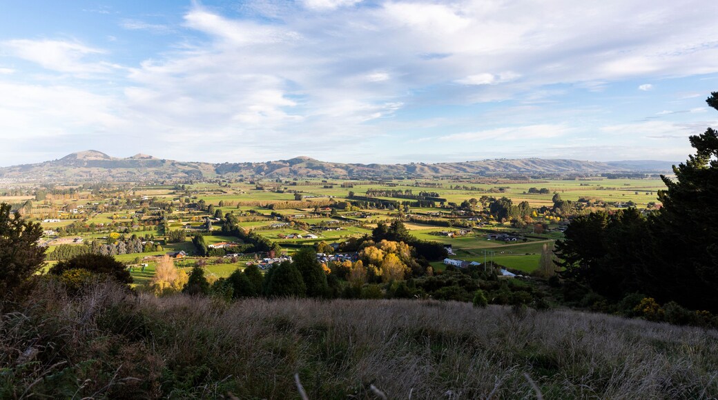 Mosgiel