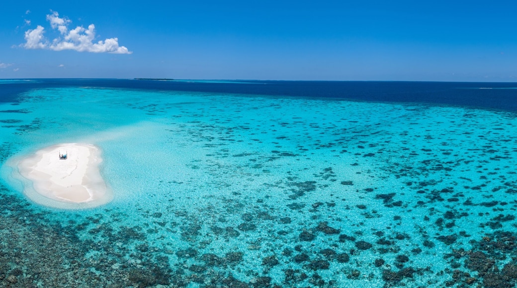 Sandbank experience with picnic in Gaafu Dhaalu Atoll Maguhdhuvaa Island, Maldives
