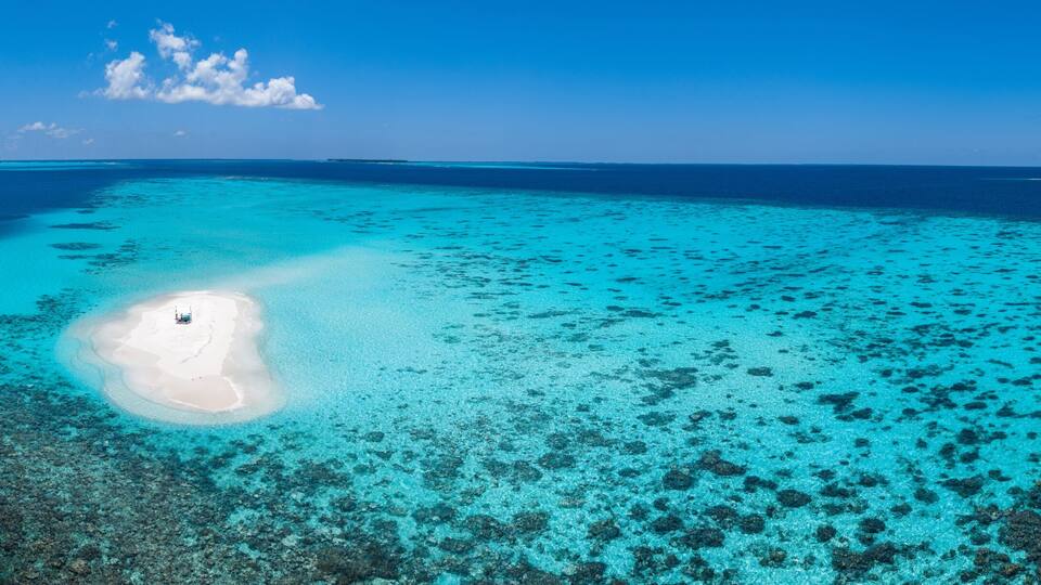 Sandbank experience with picnic in Gaafu Dhaalu Atoll Maguhdhuvaa Island, Maldives