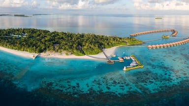 Aerial views of Gaafu Dhaalu Atoll Maguhdhuvaa Island, Maldives