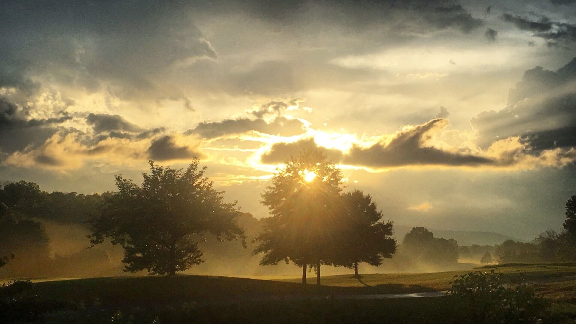 My parents have quite the backyard view.