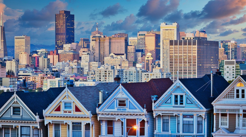 Famous Painted Ladies of San Francisco