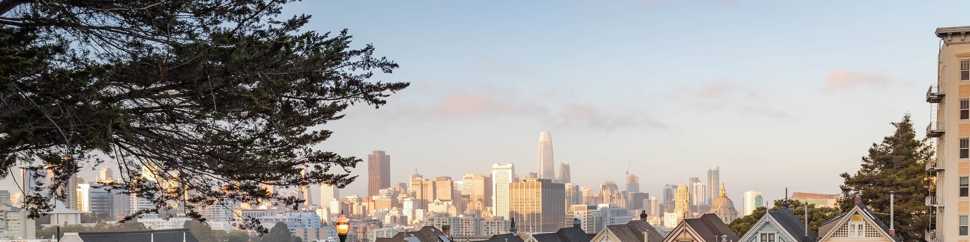 A row of Victorian houses in a park with a city skyline in the background.