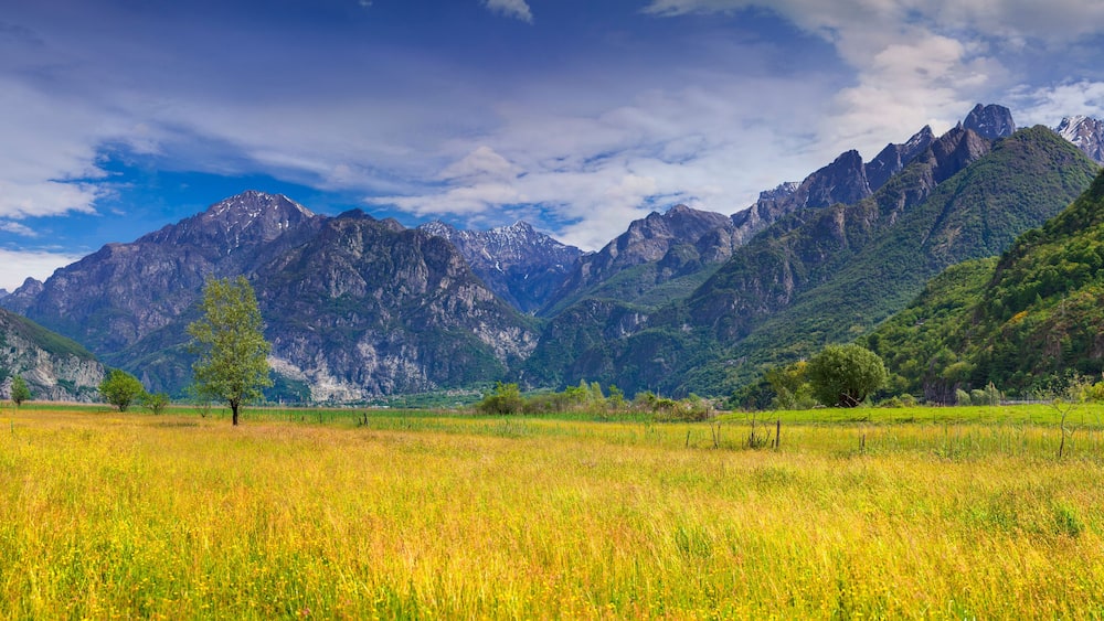 Beautiful summer landscape in the Italian Alps